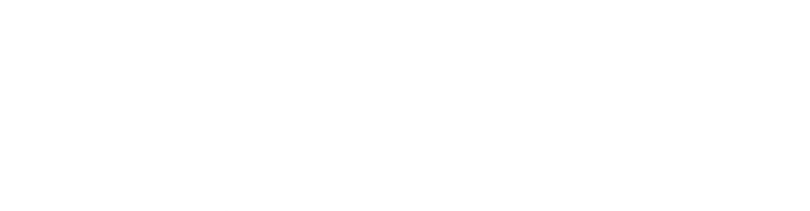 Saltfix Logo